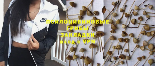 apvp Бугульма