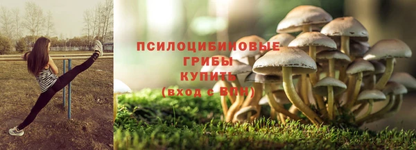 первитин Бородино