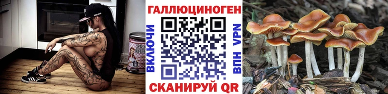 Купить где  Будённовск  Галлюциногенные грибы GOLDEN TEACHER 